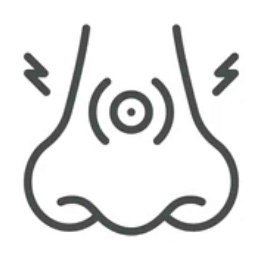 Nasal Obstruction and Congestion